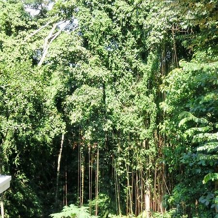Latugu Homestay Ubud Экстерьер фото