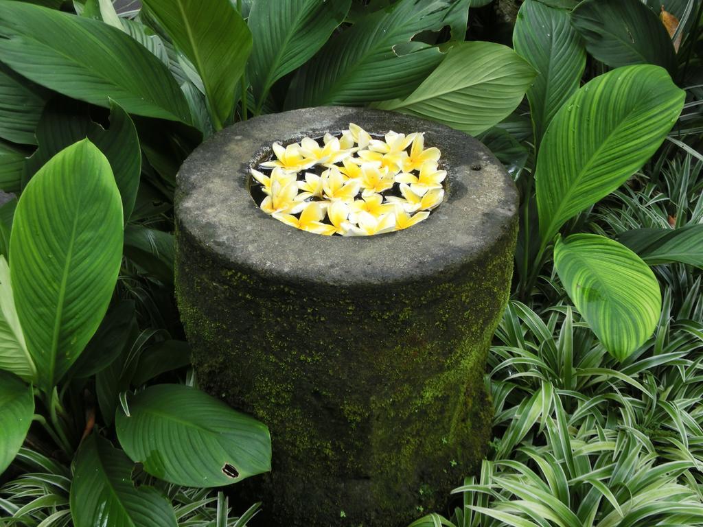Latugu Homestay Ubud Экстерьер фото